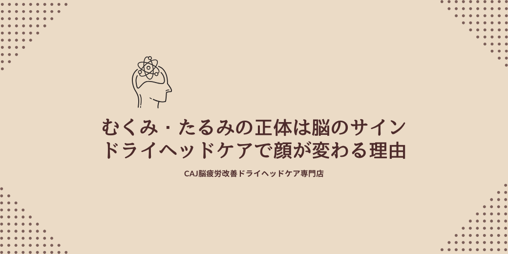 むくみ・たるみの正体は“脳のサイン”。ドライヘッドケアで顔が変わる理由